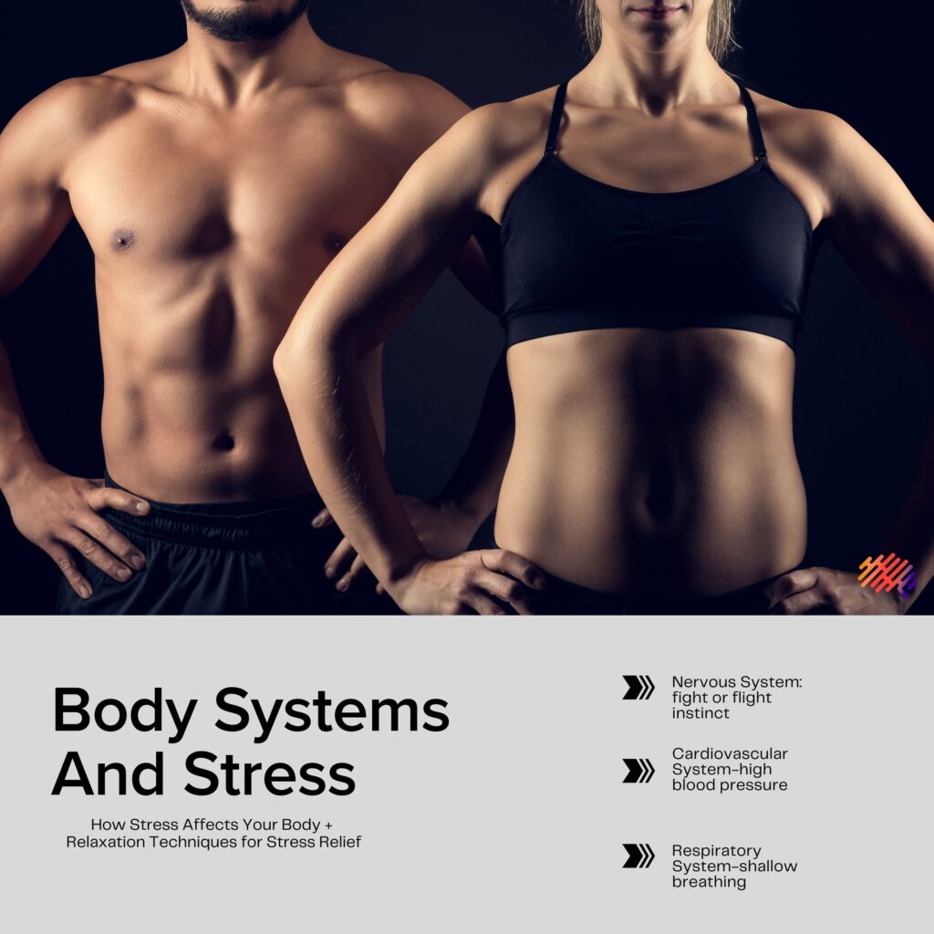 Body Systems & Stress